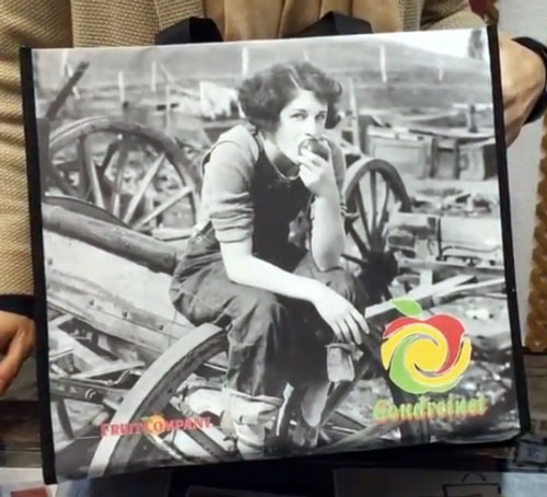 Bolsas Reutilizables