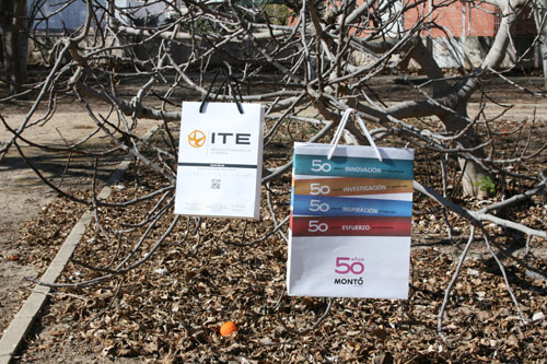 modelos de bolsas ecológicas de lujo